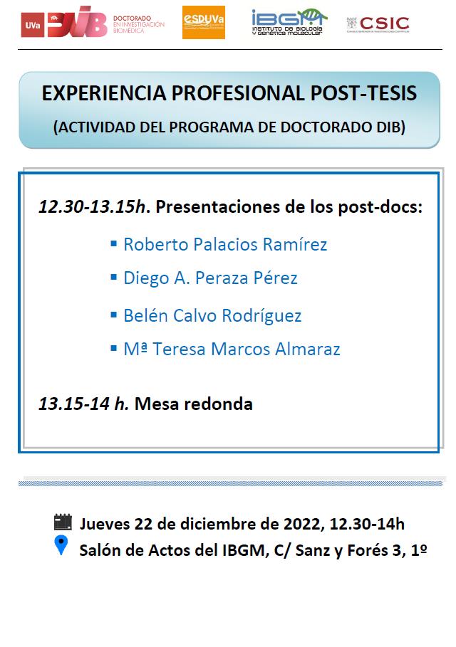 experiencia profesional post tesis